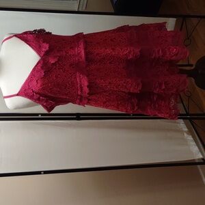 NWT City Chic fuchsia lace dress sz 20